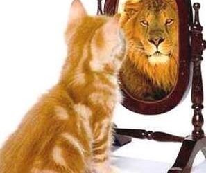 Why Self-awareness is important for business leadership