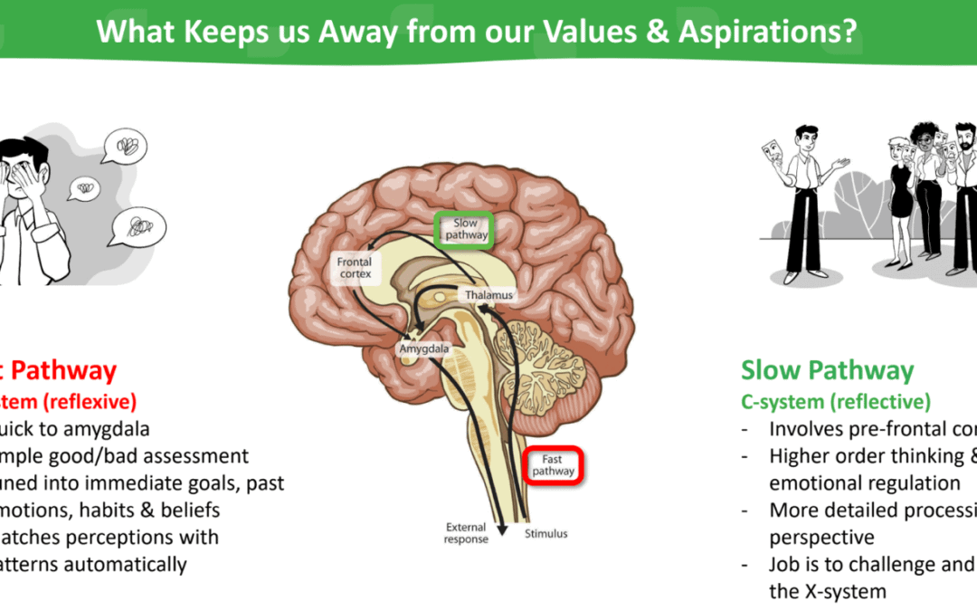 How Our ‘Fast Brain’ Hijacks Our Personal Development