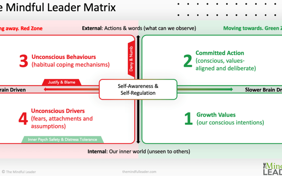 The Growth Matrix: A model for personal and organisational transformation