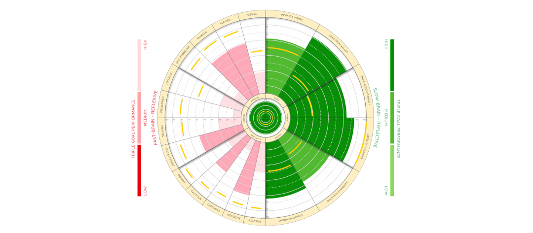 Vertical Growth: The Antidote to Defensiveness in Leadership